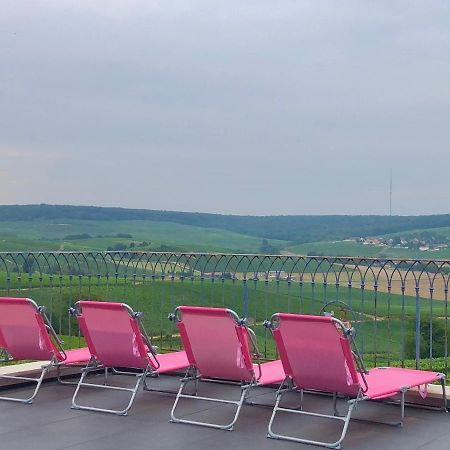 Вилла Floressens En Champagne Terrasse Privative Sur Le Vignoble Fleury-la-Riviere Экстерьер фото