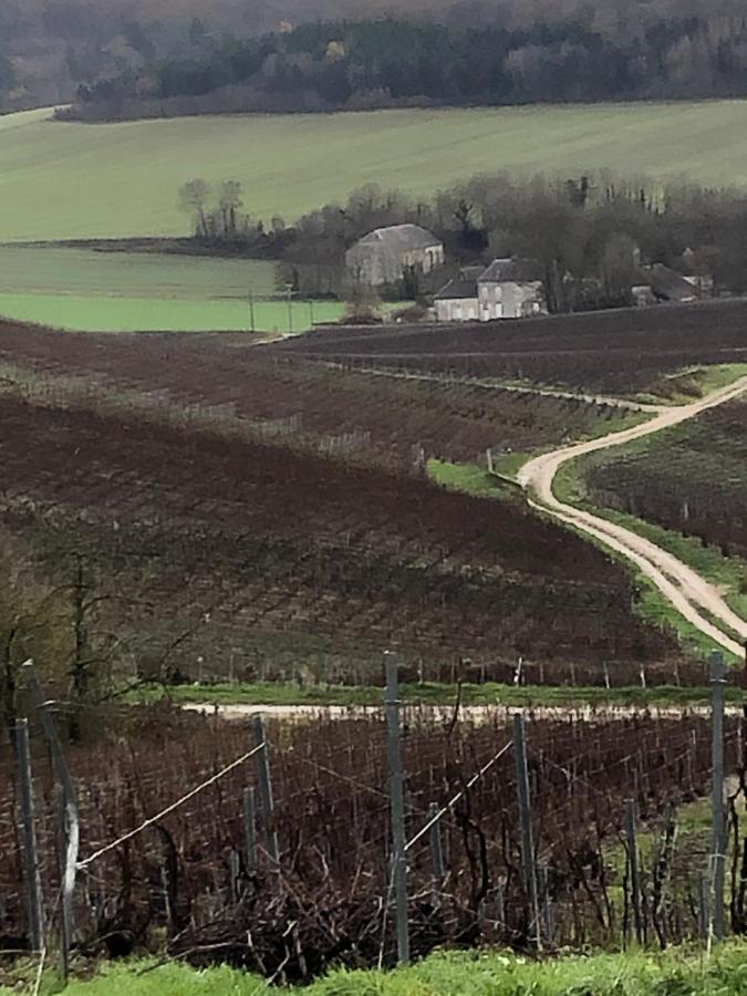 Вилла Floressens En Champagne Terrasse Privative Sur Le Vignoble Fleury-la-Riviere Экстерьер фото