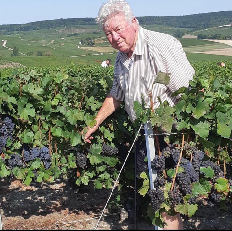 Вилла Floressens En Champagne Terrasse Privative Sur Le Vignoble Fleury-la-Riviere Экстерьер фото