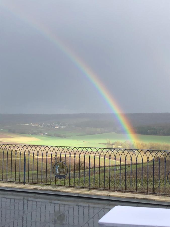 Вилла Floressens En Champagne Terrasse Privative Sur Le Vignoble Fleury-la-Riviere Экстерьер фото