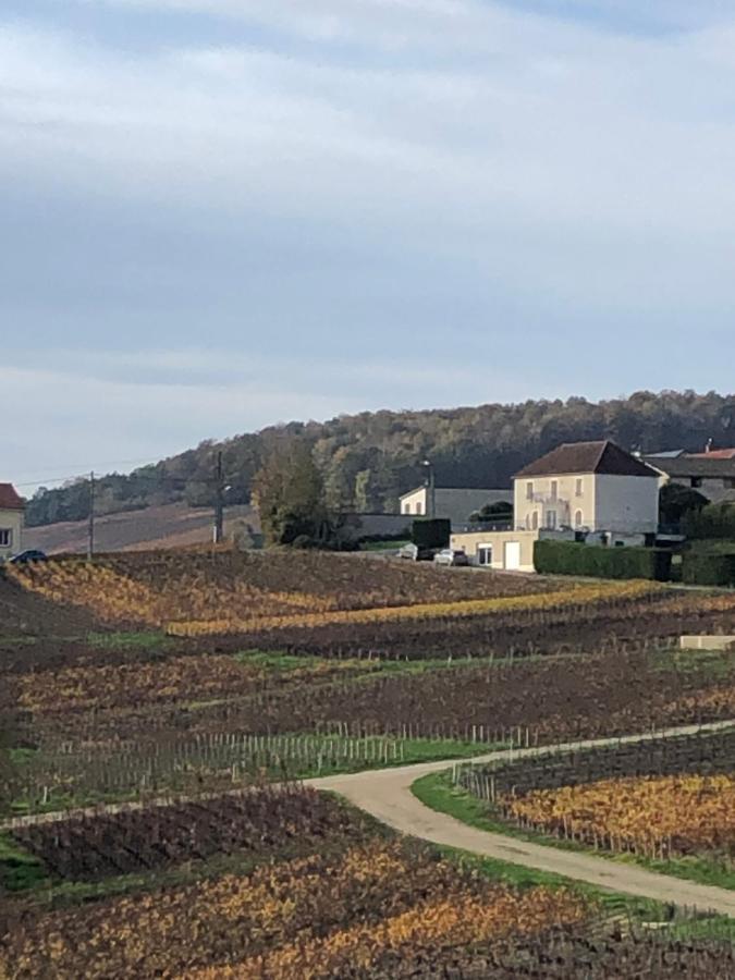 Вилла Floressens En Champagne Terrasse Privative Sur Le Vignoble Fleury-la-Riviere Экстерьер фото