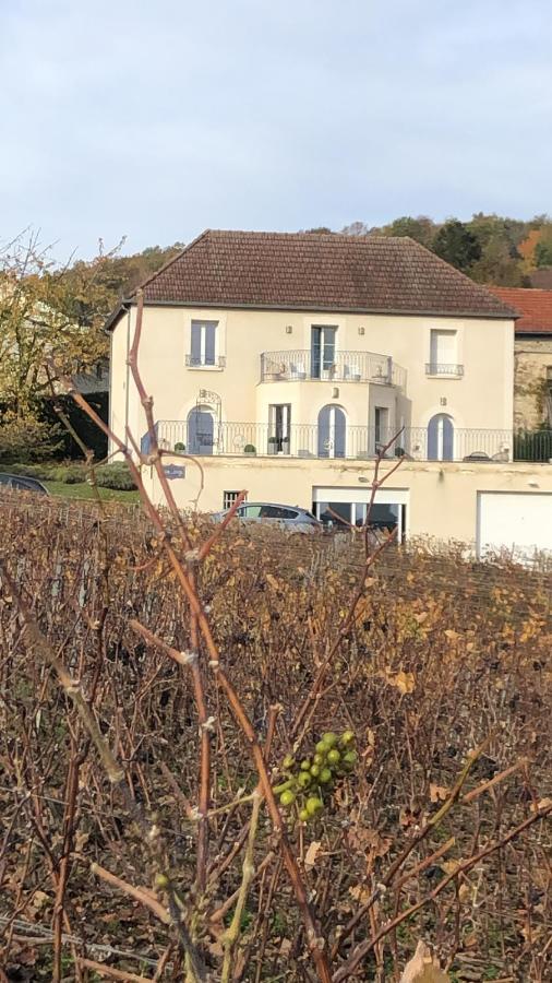 Вилла Floressens En Champagne Terrasse Privative Sur Le Vignoble Fleury-la-Riviere Экстерьер фото