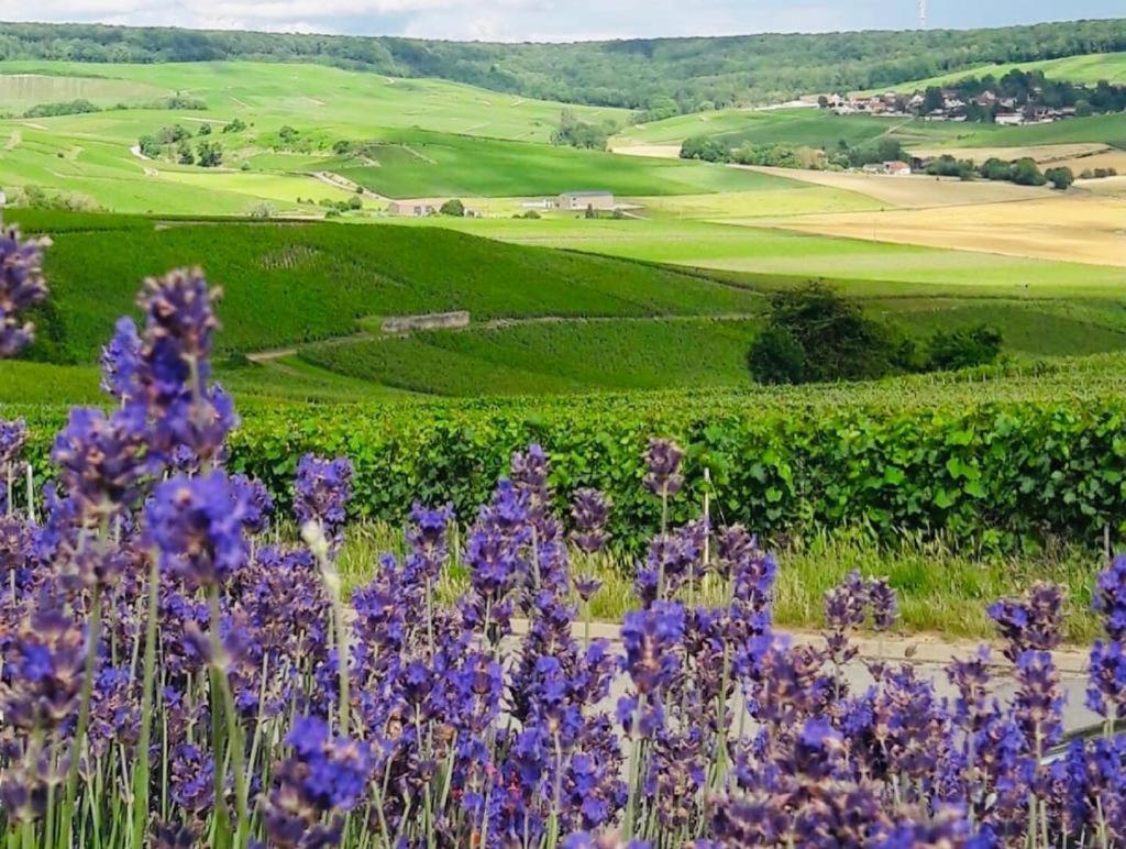 Вилла Floressens En Champagne Terrasse Privative Sur Le Vignoble Fleury-la-Riviere Экстерьер фото