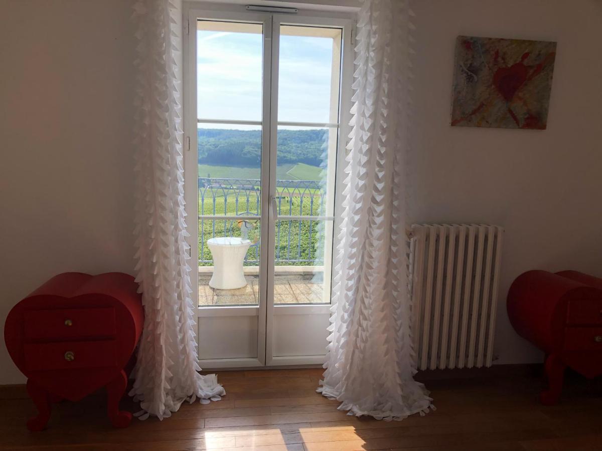 Вилла Floressens En Champagne Terrasse Privative Sur Le Vignoble Fleury-la-Riviere Экстерьер фото