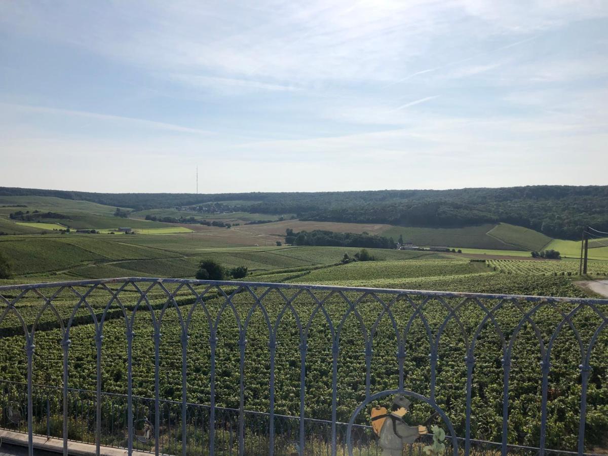 Вилла Floressens En Champagne Terrasse Privative Sur Le Vignoble Fleury-la-Riviere Экстерьер фото