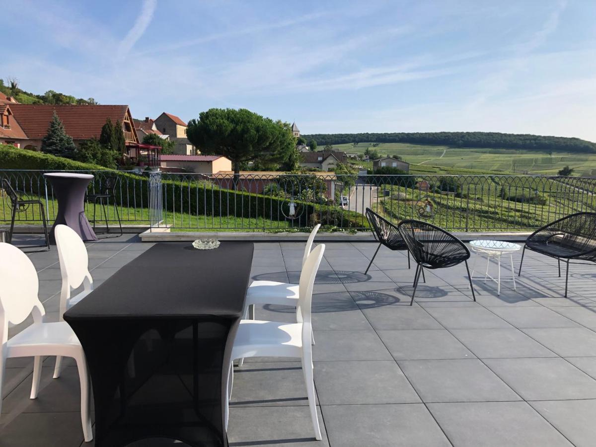 Вилла Floressens En Champagne Terrasse Privative Sur Le Vignoble Fleury-la-Riviere Экстерьер фото