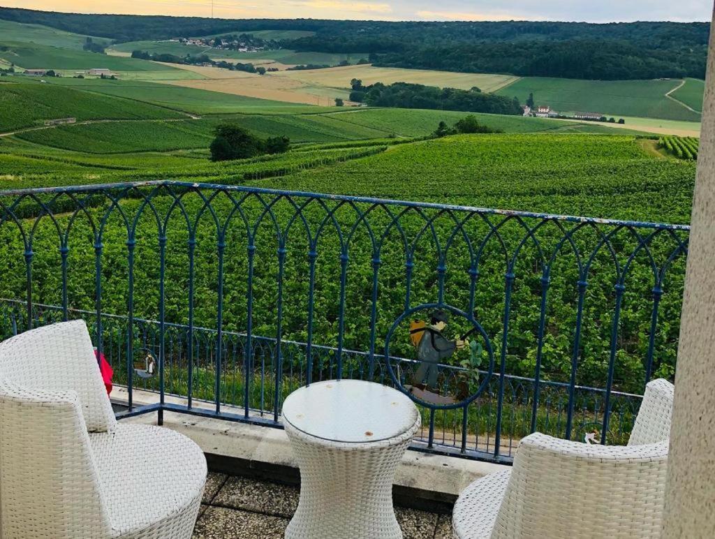 Вилла Floressens En Champagne Terrasse Privative Sur Le Vignoble Fleury-la-Riviere Экстерьер фото