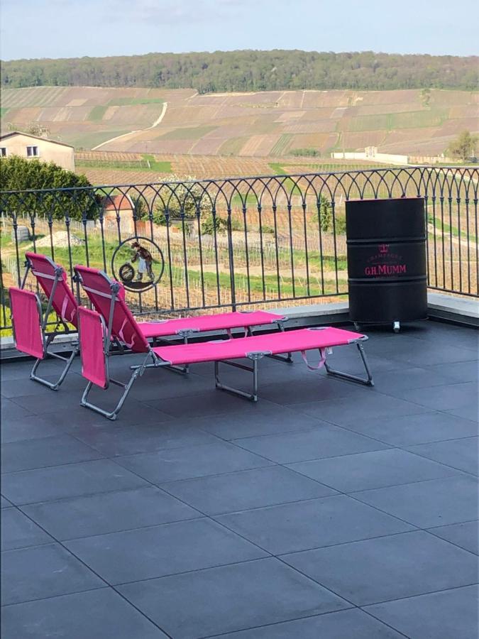 Вилла Floressens En Champagne Terrasse Privative Sur Le Vignoble Fleury-la-Riviere Экстерьер фото
