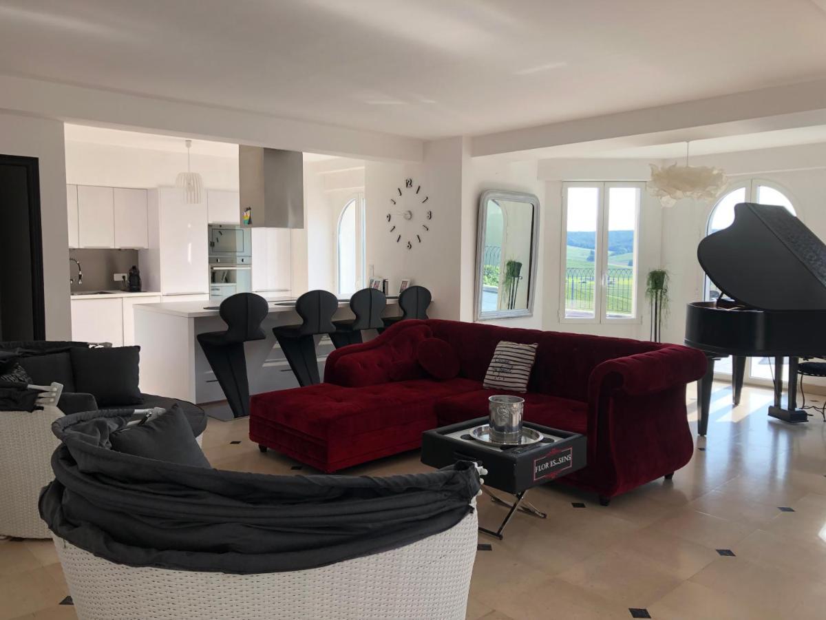 Вилла Floressens En Champagne Terrasse Privative Sur Le Vignoble Fleury-la-Riviere Экстерьер фото