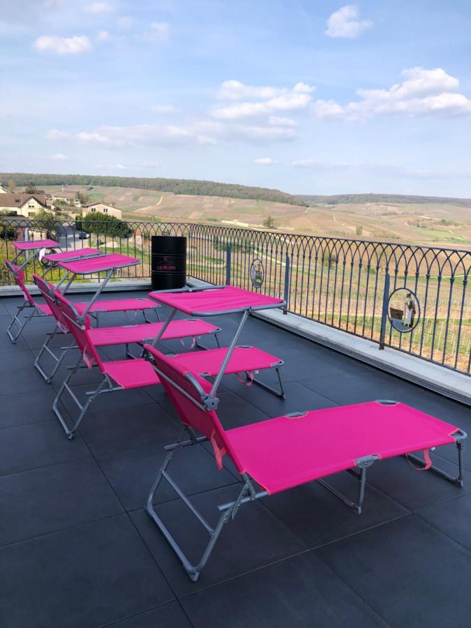 Вилла Floressens En Champagne Terrasse Privative Sur Le Vignoble Fleury-la-Riviere Экстерьер фото