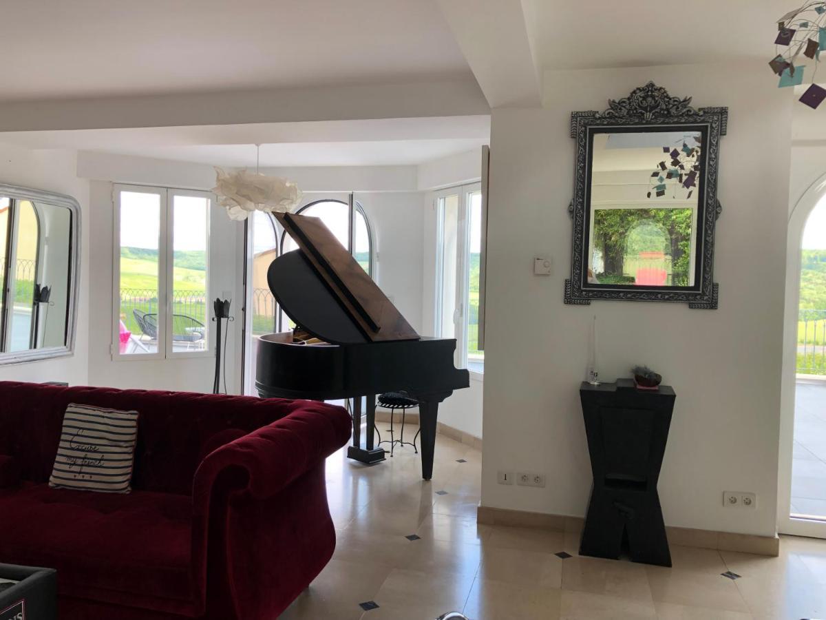 Вилла Floressens En Champagne Terrasse Privative Sur Le Vignoble Fleury-la-Riviere Экстерьер фото