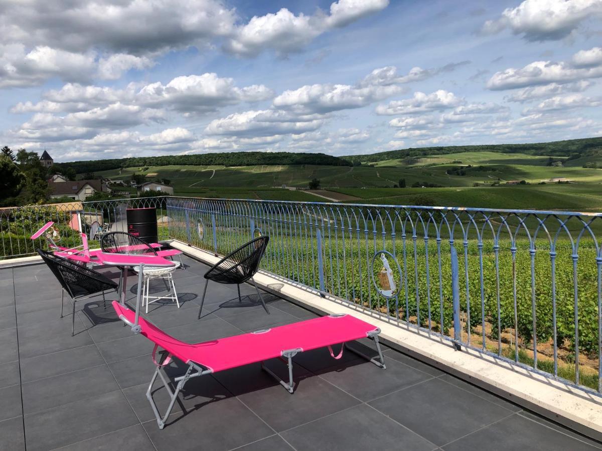 Вилла Floressens En Champagne Terrasse Privative Sur Le Vignoble Fleury-la-Riviere Экстерьер фото