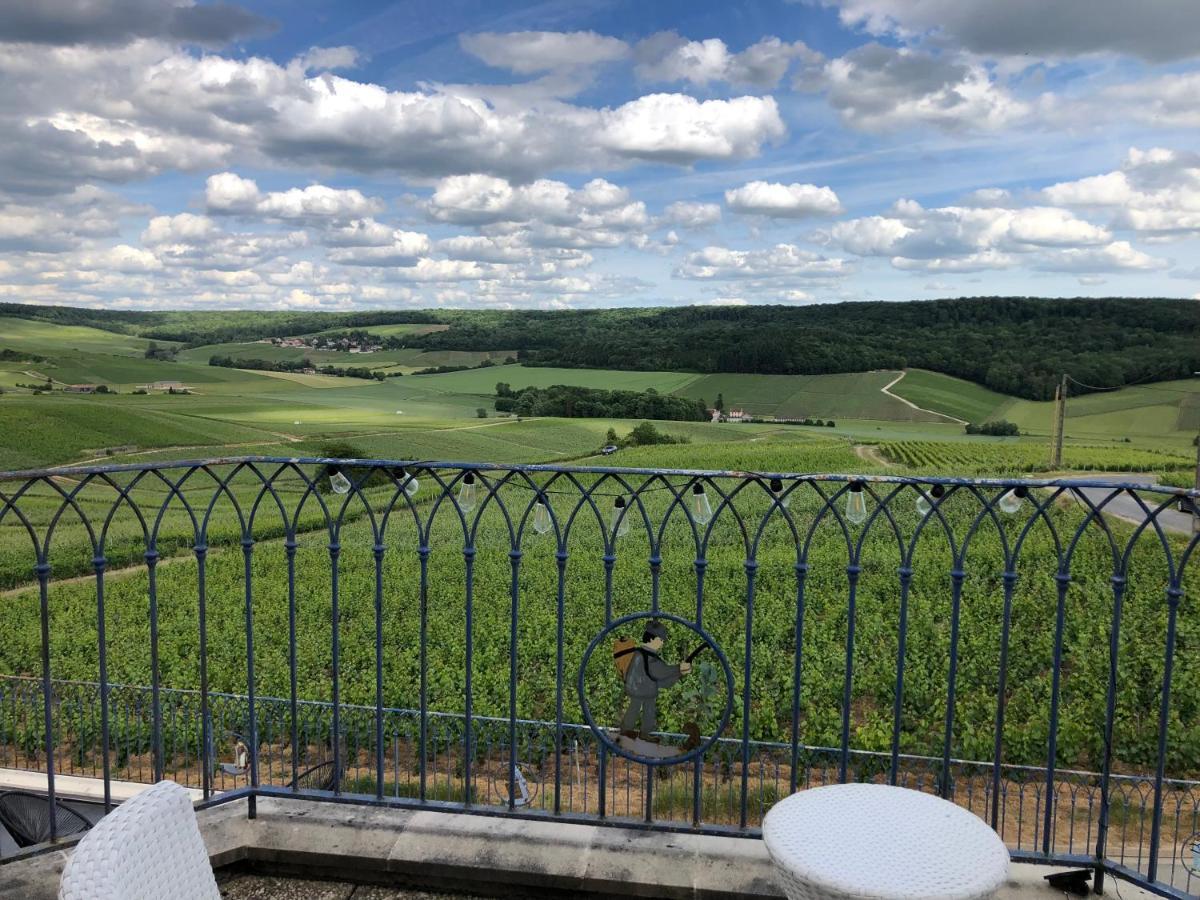 Вилла Floressens En Champagne Terrasse Privative Sur Le Vignoble Fleury-la-Riviere Экстерьер фото