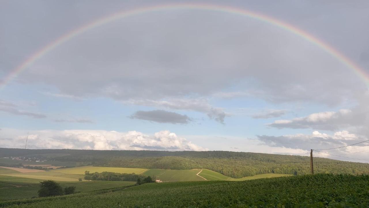 Вилла Floressens En Champagne Terrasse Privative Sur Le Vignoble Fleury-la-Riviere Экстерьер фото