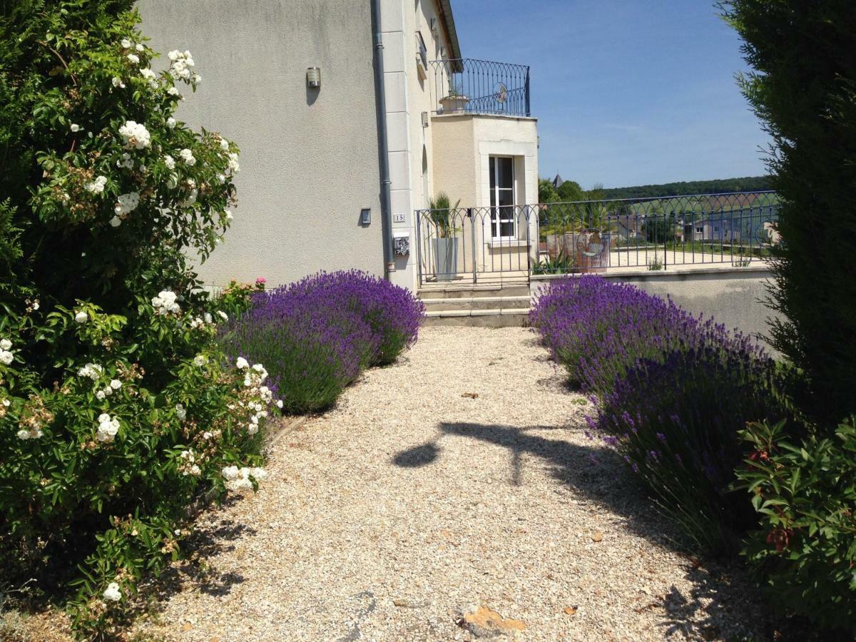 Вилла Floressens En Champagne Terrasse Privative Sur Le Vignoble Fleury-la-Riviere Экстерьер фото