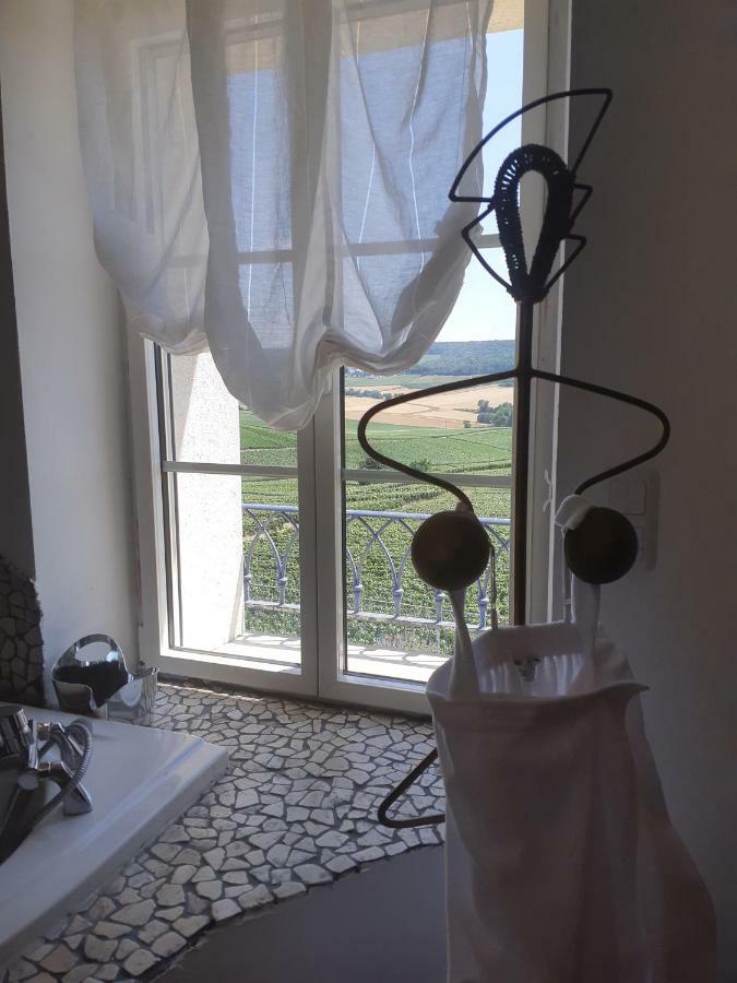Вилла Floressens En Champagne Terrasse Privative Sur Le Vignoble Fleury-la-Riviere Экстерьер фото