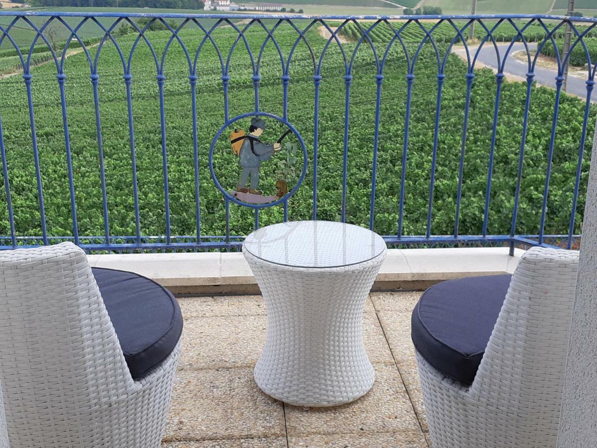 Вилла Floressens En Champagne Terrasse Privative Sur Le Vignoble Fleury-la-Riviere Экстерьер фото